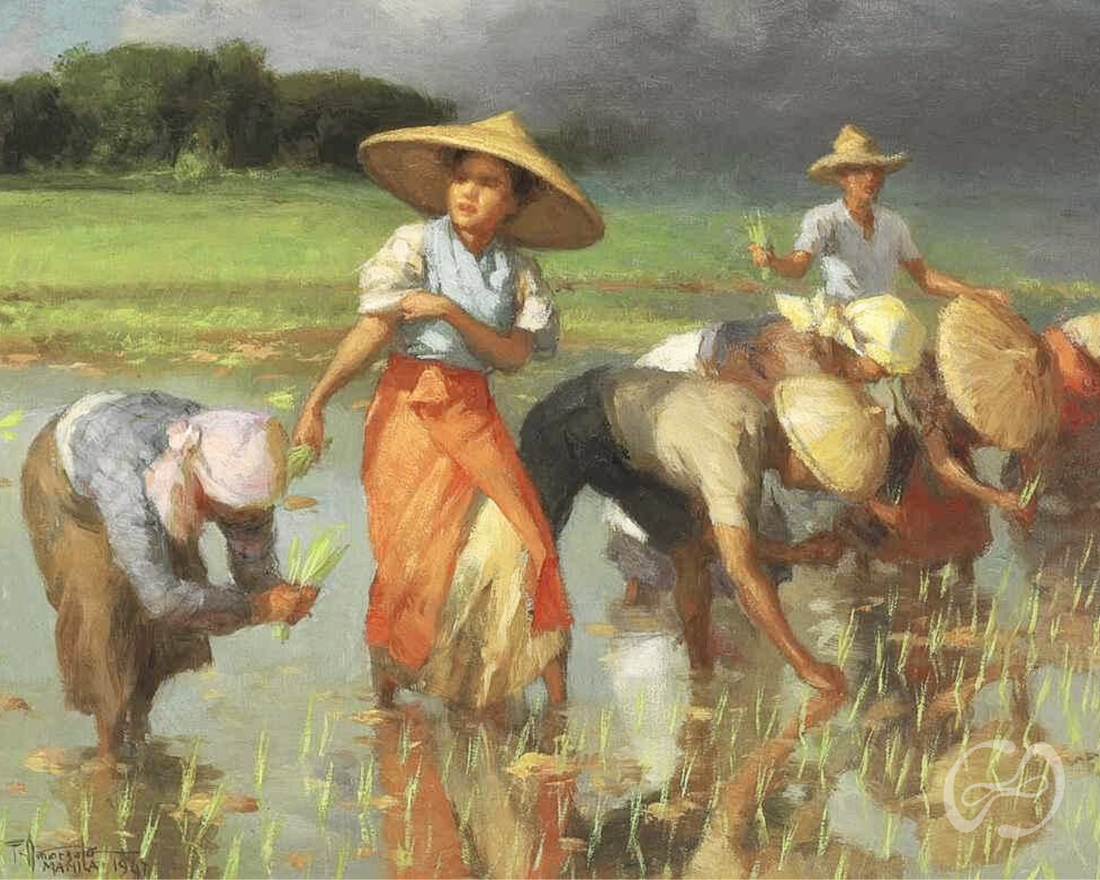 Rooted in Purpose: How Advocacy Grew into Intention